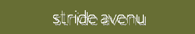 Dynamic Running Shoes & Casual Sneakers | Stride Avenue